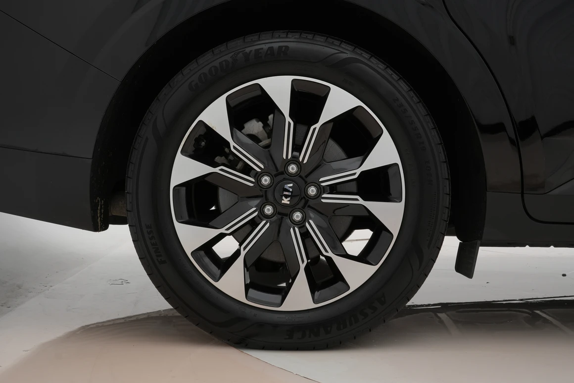 Kia Carnival - Фото 15