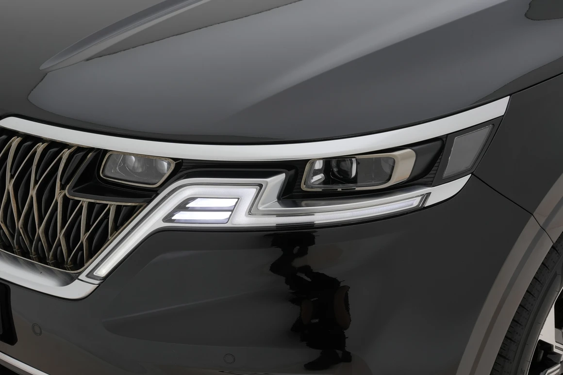 Kia Carnival - Фото 9