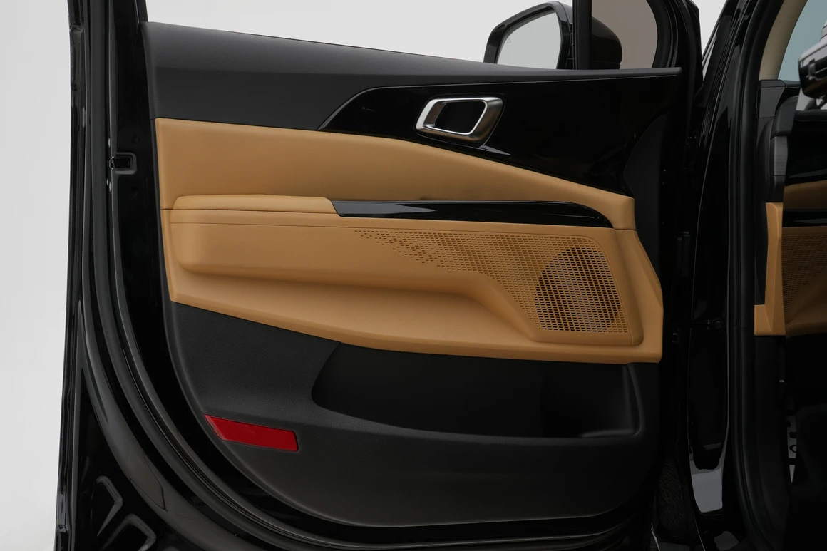 Kia Carnival - Фото 19