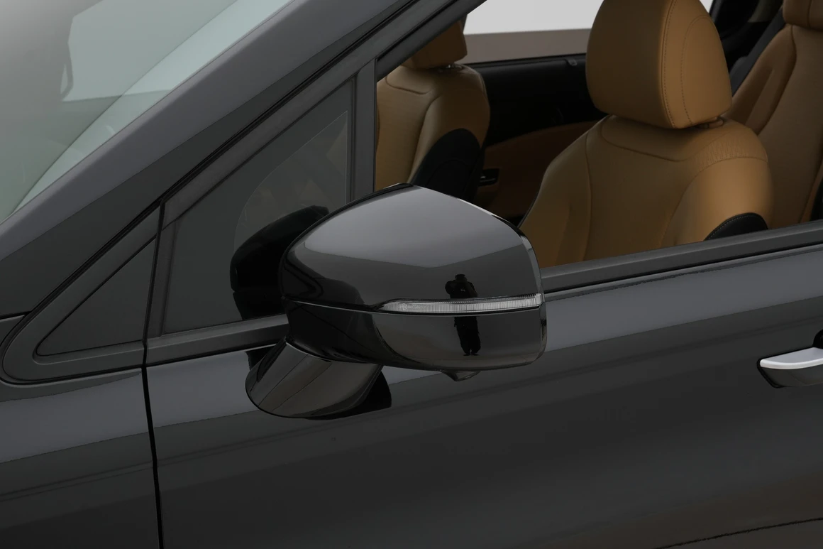 Kia Carnival - Фото 10