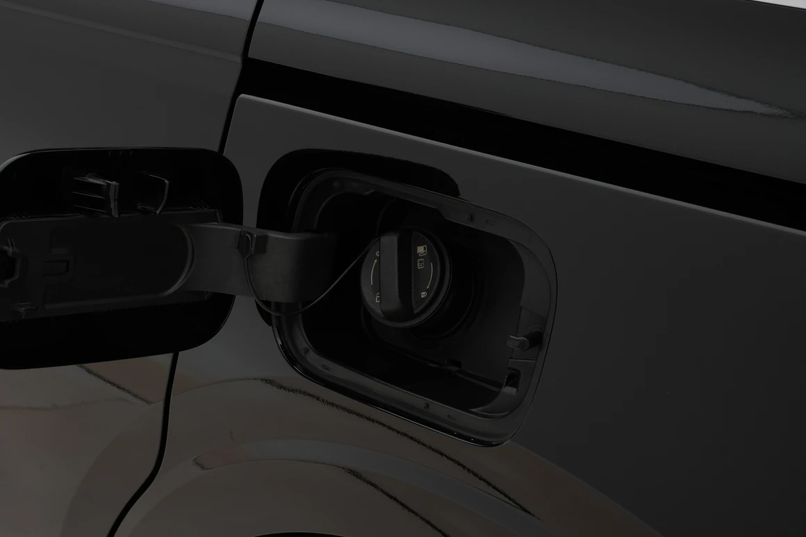 Kia Carnival - Фото 12