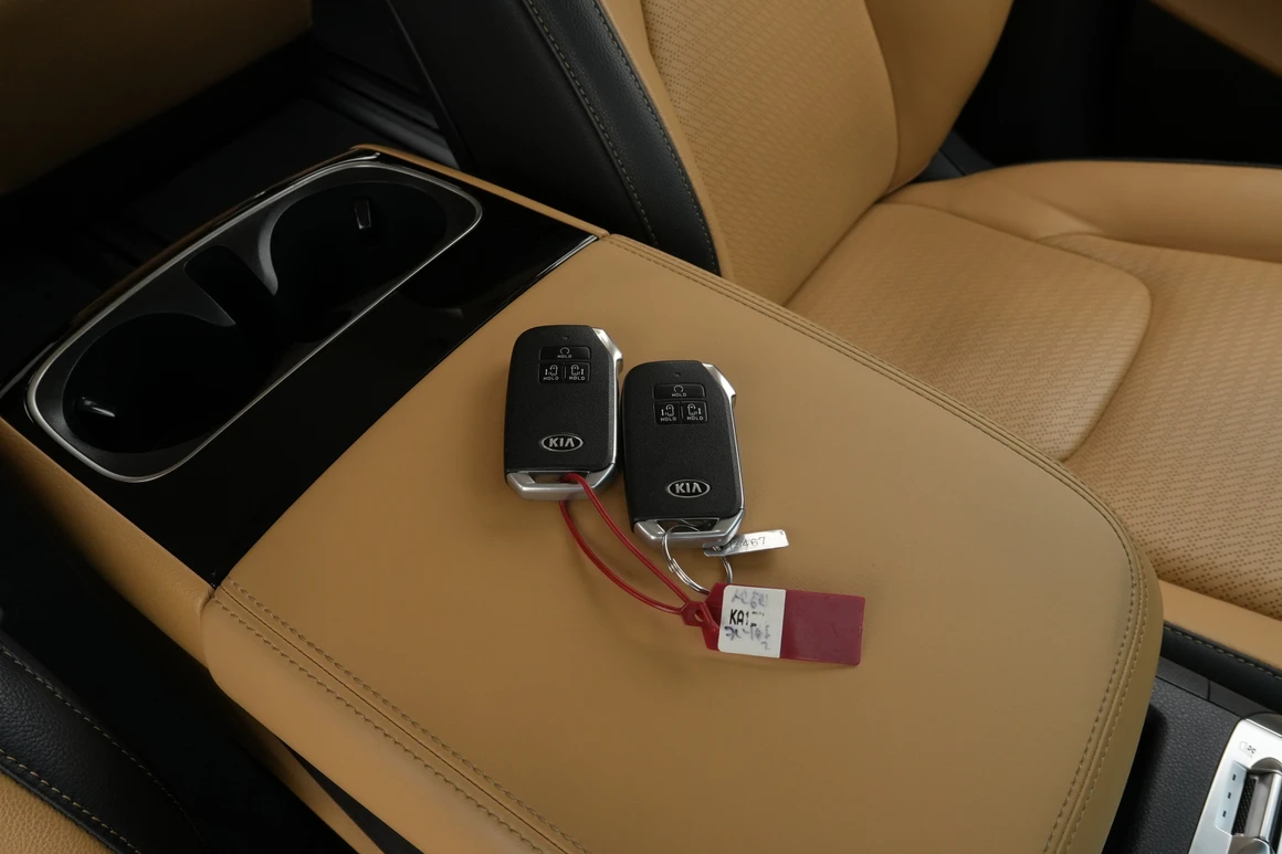 Kia Carnival - Фото 29