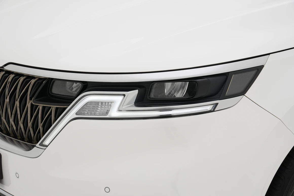 Kia Carnival - Фото 9