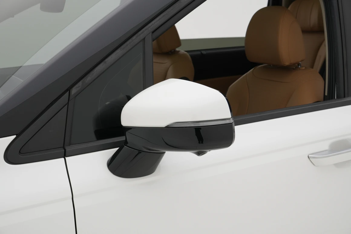 Kia Carnival - Фото 10