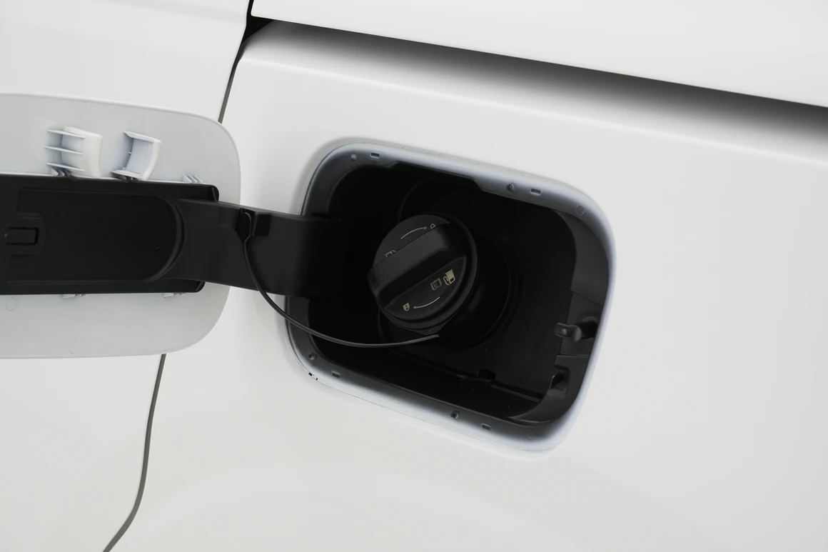 Kia Carnival - Фото 12