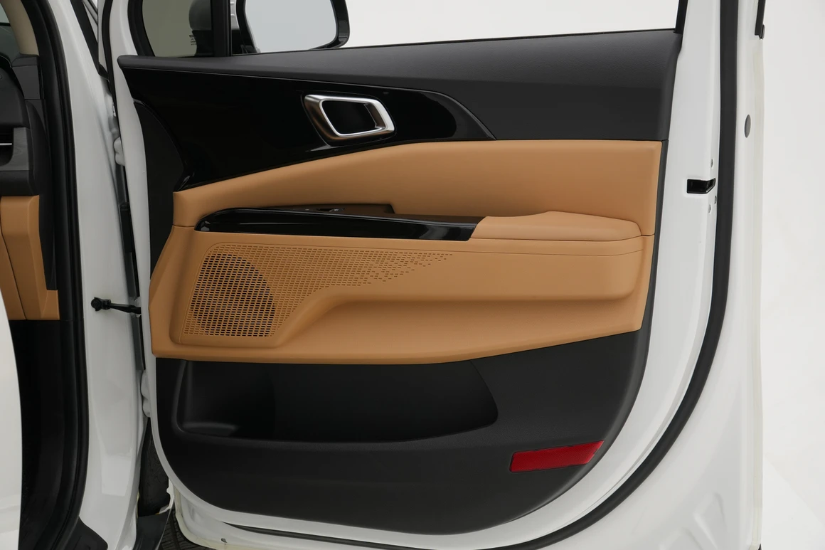Kia Carnival - Фото 22