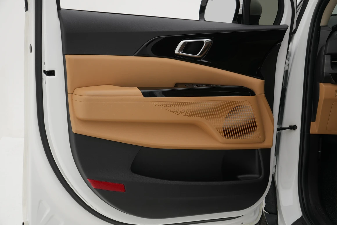Kia Carnival - Фото 19