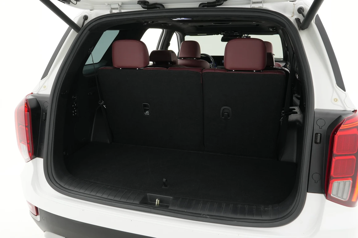 Hyundai Palisade - Фото 38