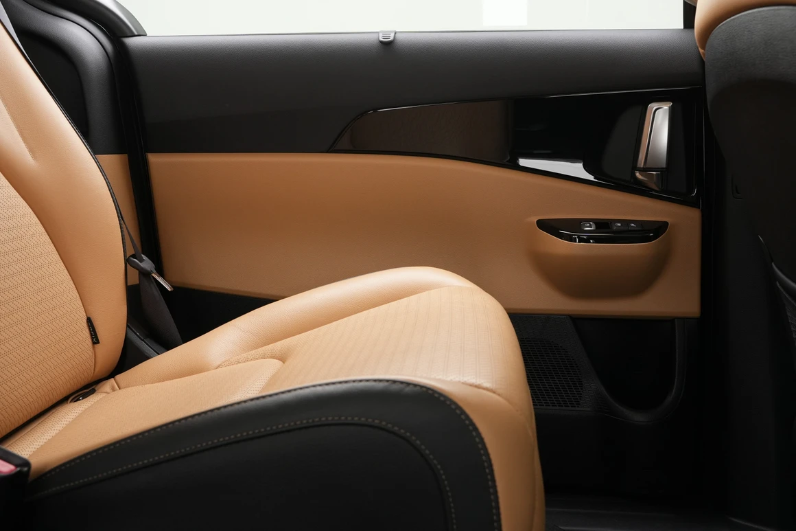 Kia Carnival - Фото 21