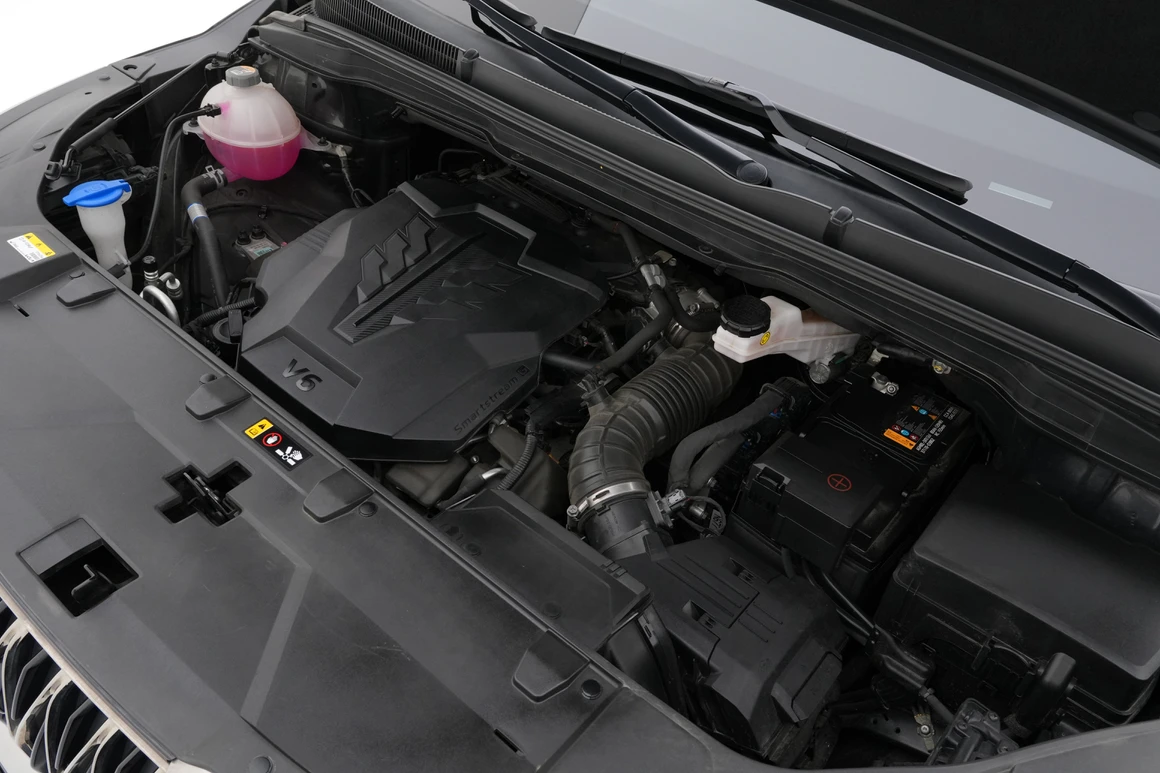 Kia Carnival - Фото 13