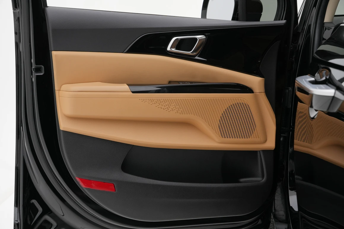 Kia Carnival - Фото 20