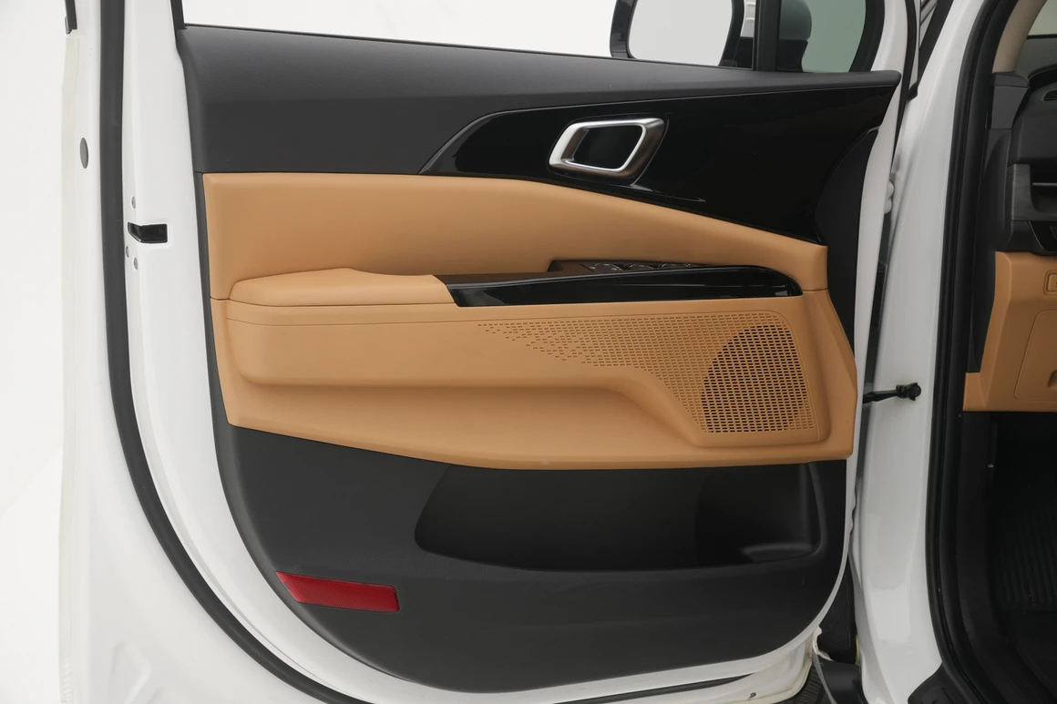 Kia Carnival - Фото 20