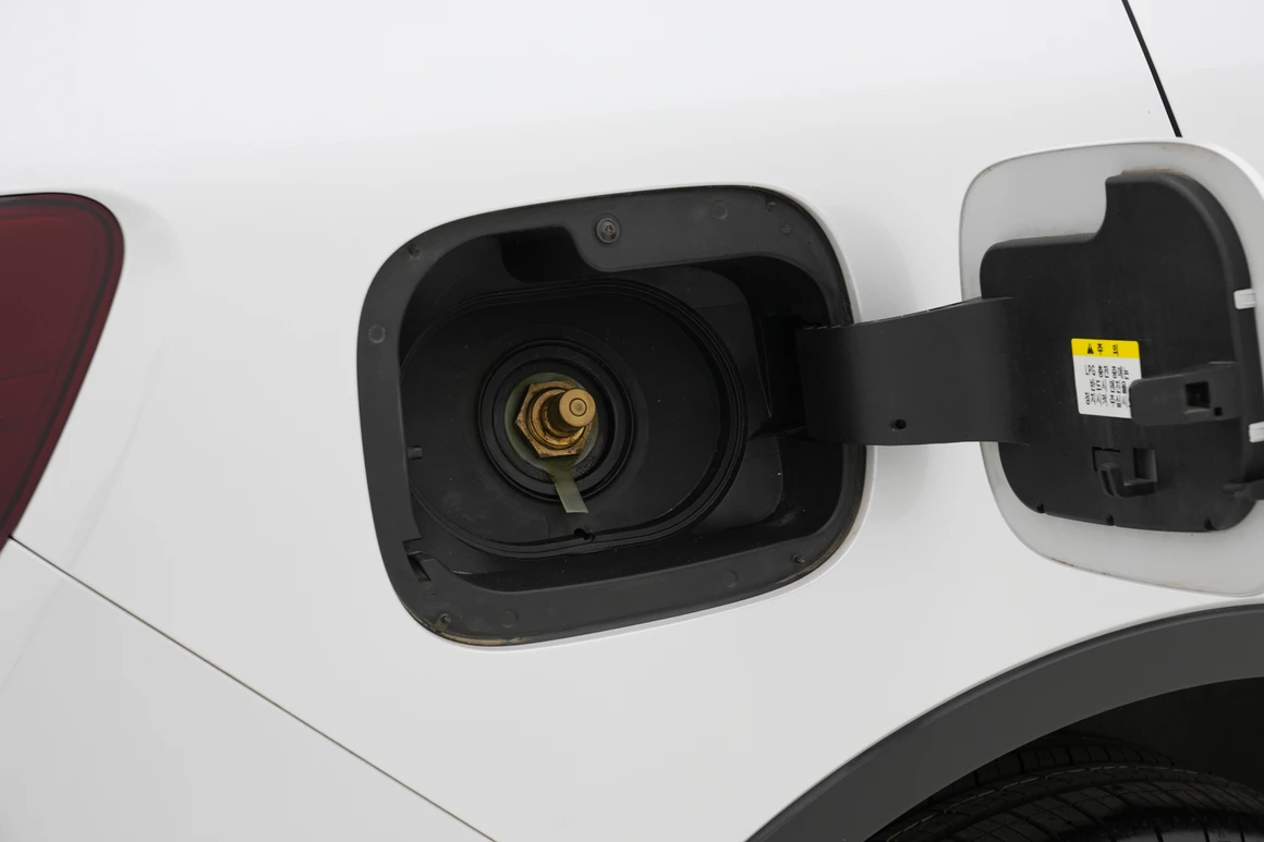 Renault (Samsung) QM6 - Фото 12