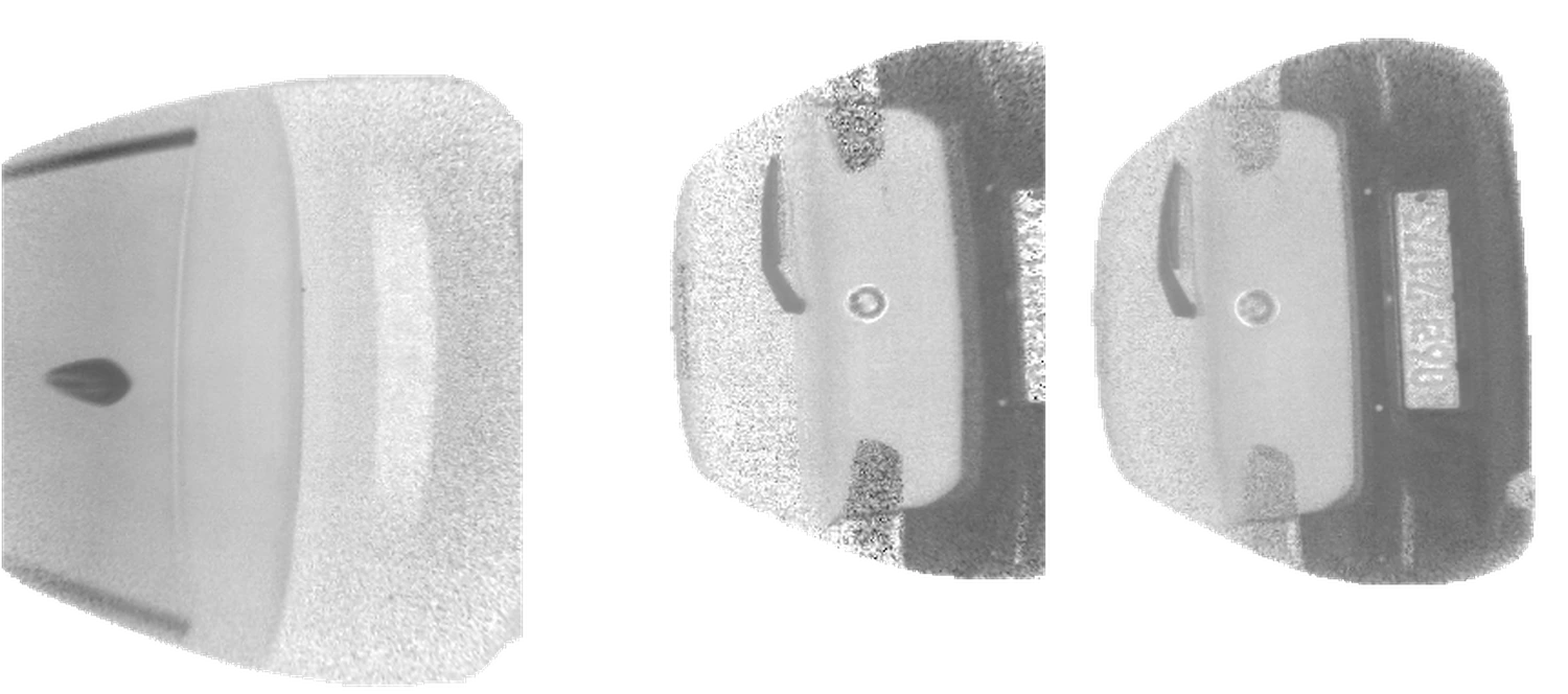Trunk