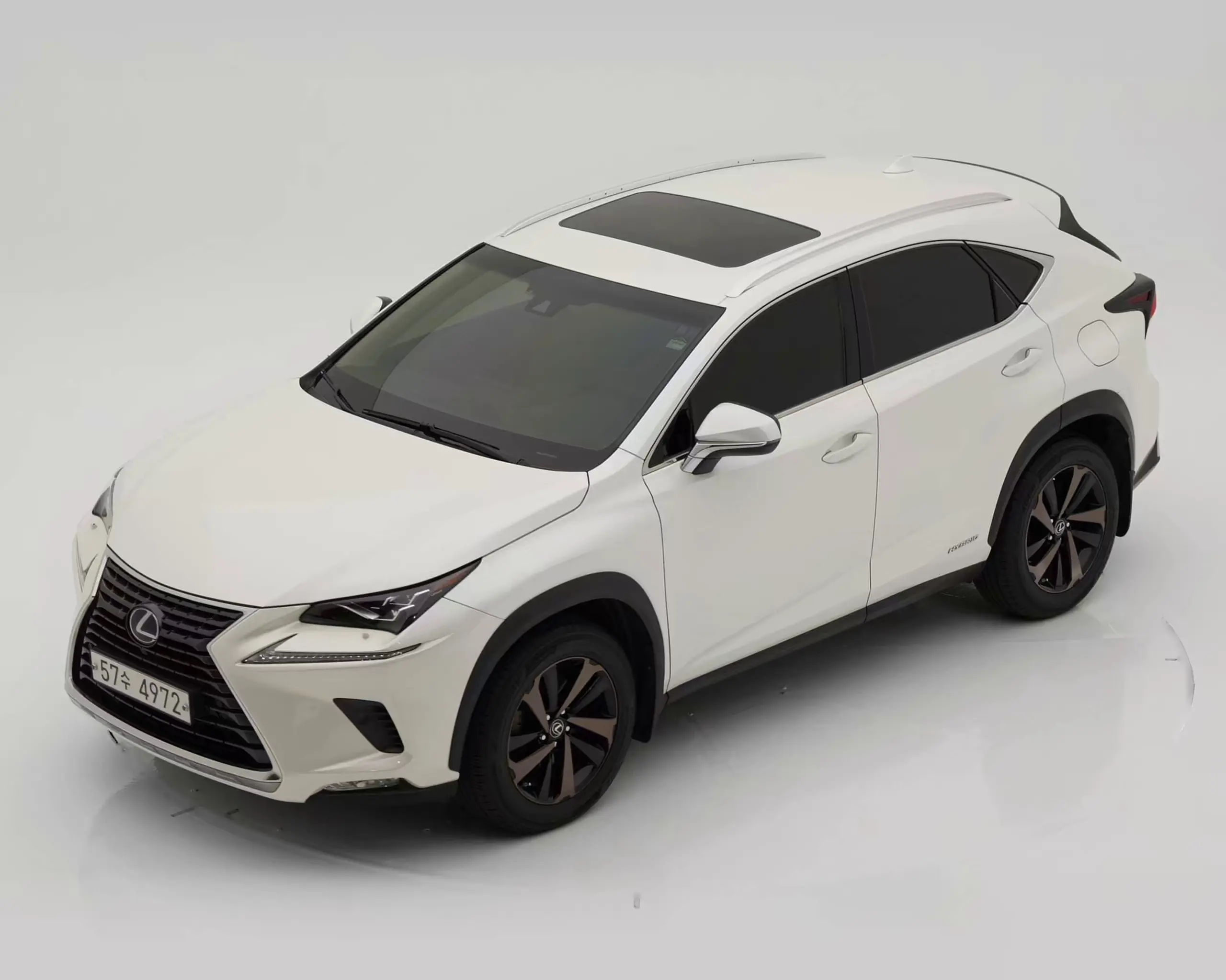 렉서스 NX300h 2019년식 중고차