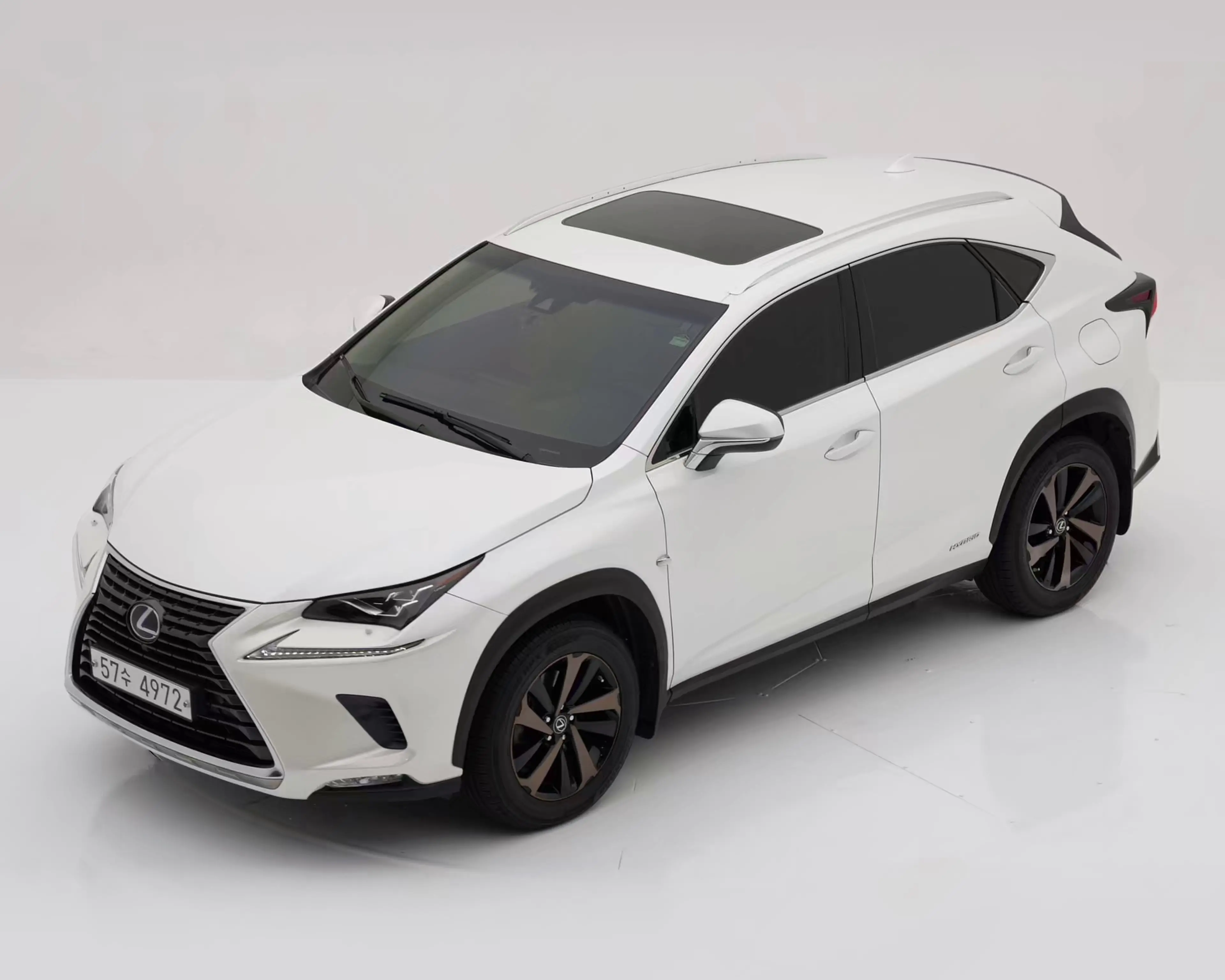 렉서스 NX300h 2019년식 중고차