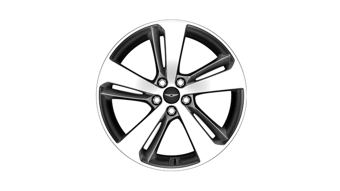 제네시스 SUV GV80, GV80 가솔린