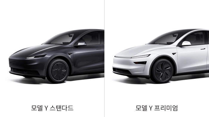 모델 Y 스탠다드, 모델 Y, 테슬라 모델 Y, 테슬라 모델 Y 스탠다드, 테슬라