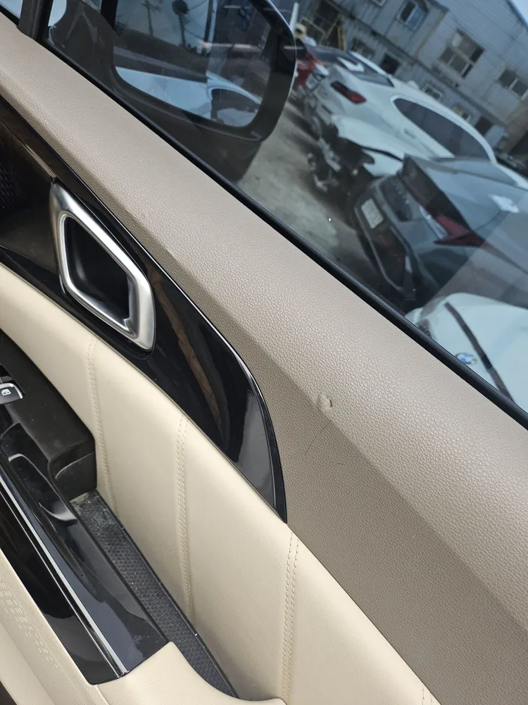Kia Carnival 17