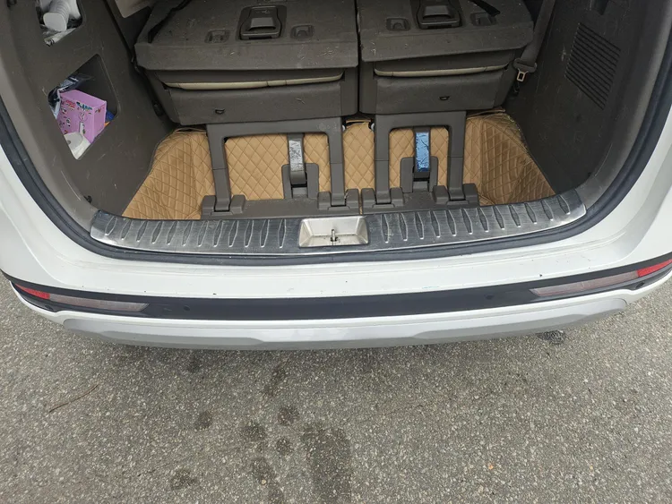 Kia Carnival 8