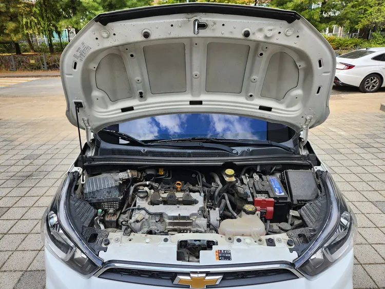 Chevrolet Next Spark 29