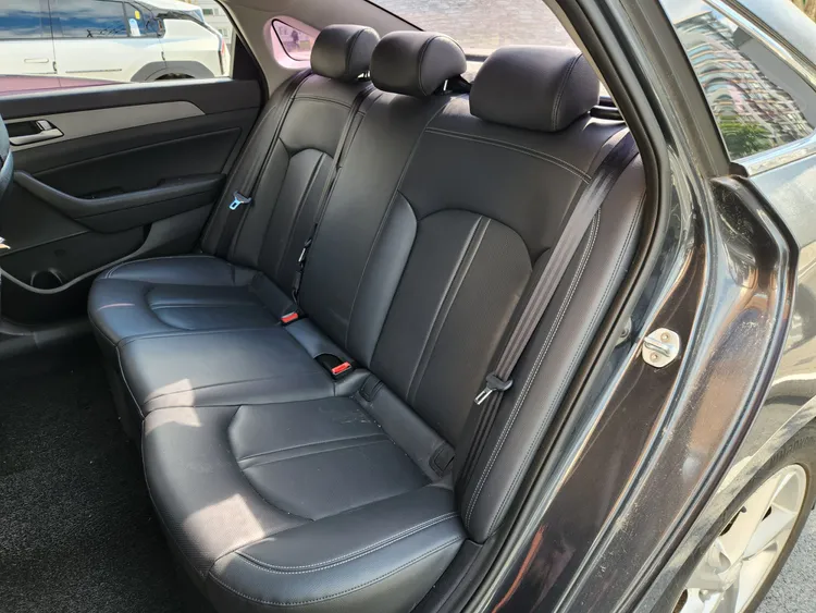 Hyundai Sonata New Rise 10