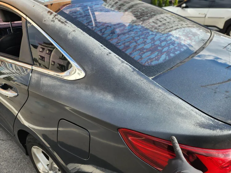 Hyundai Sonata New Rise 3