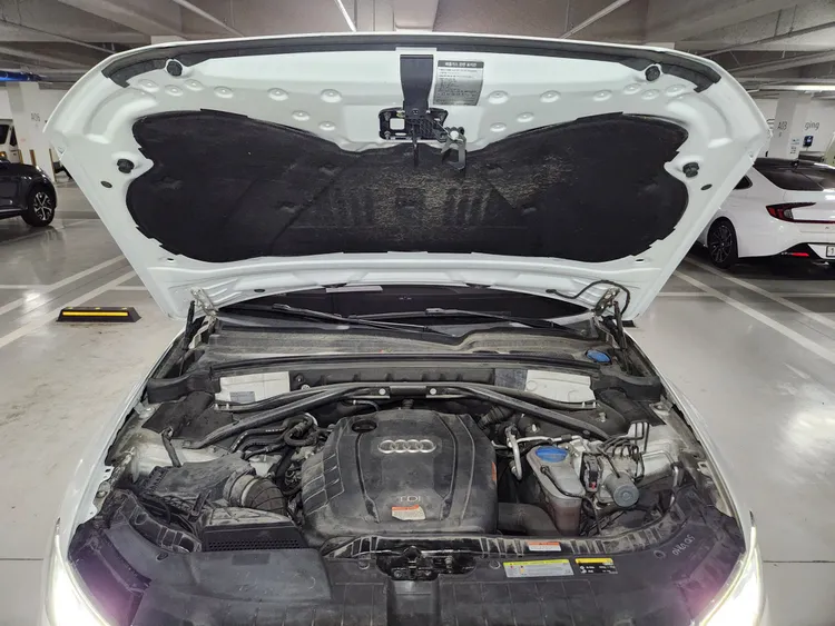 Audi Q5 (8R) 25