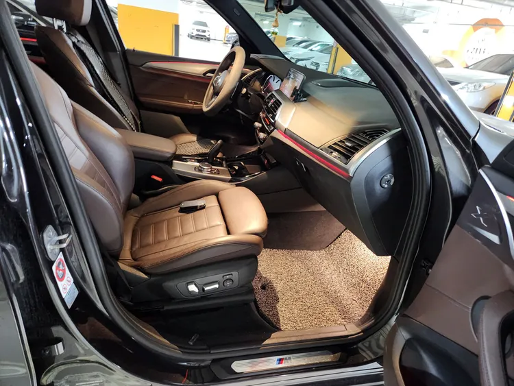 BMW X3 (G01) 9