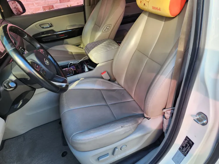 Kia Carnival 19