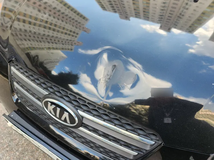 Kia Morning 29