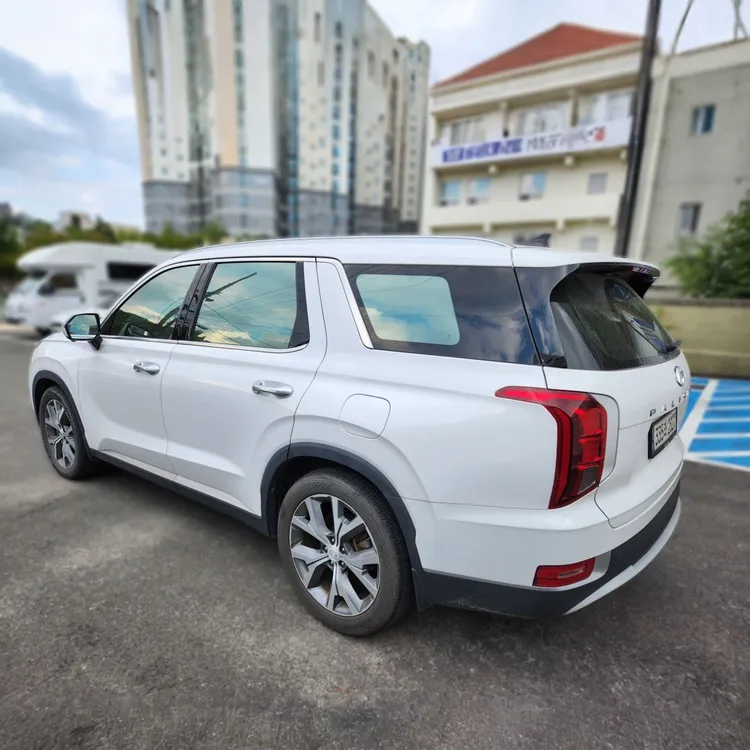 Hyundai Palisade 4