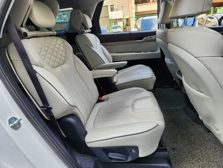 Hyundai Palisade 12