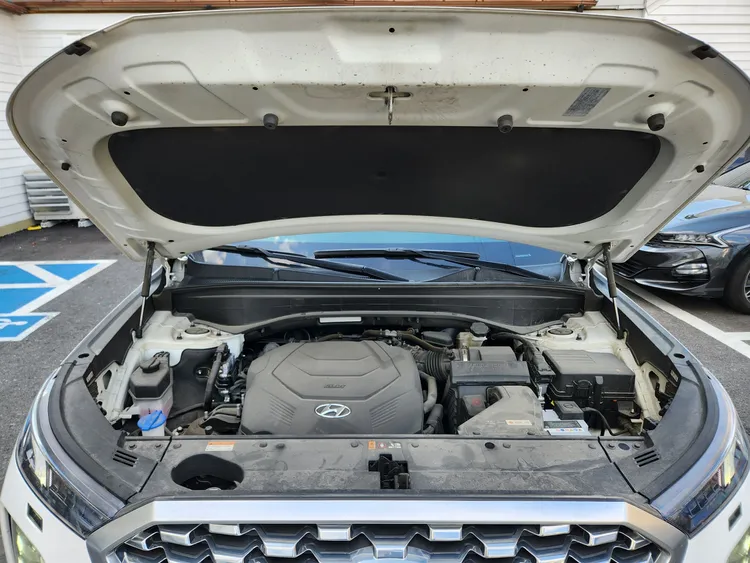 Hyundai Palisade 30
