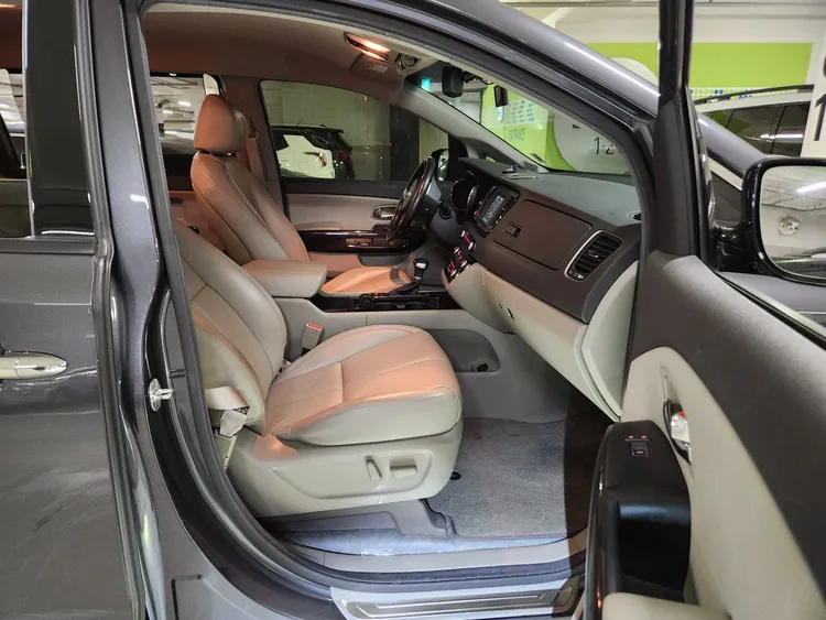 Kia Carnival 19