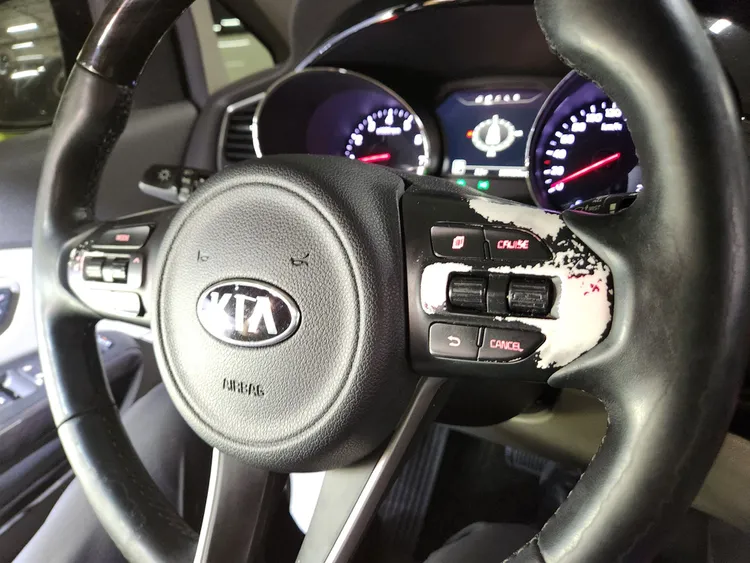 Kia Carnival 31