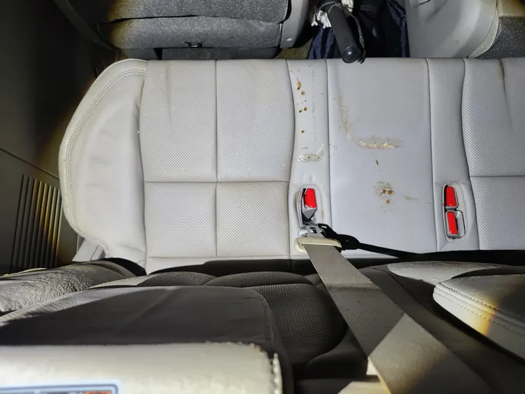 Kia Carnival 19