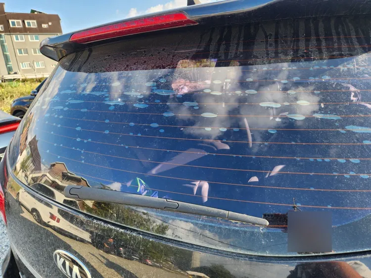 Kia Carnival 36