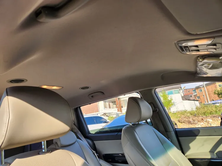Kia Carnival 31