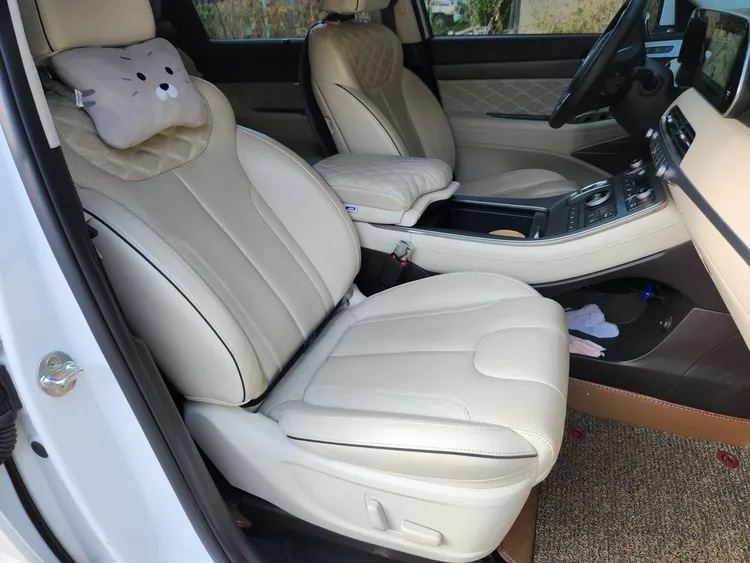 Hyundai Palisade 6