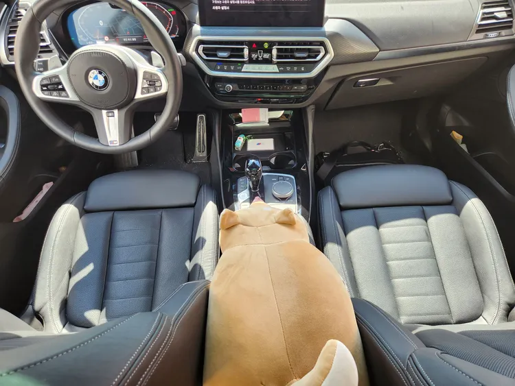 BMW X4 (G02) 12