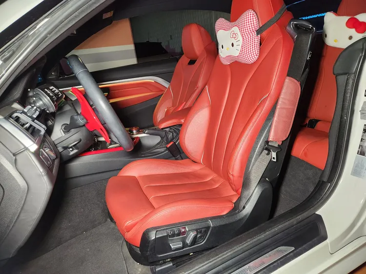 BMW 4 Series (F32) 6
