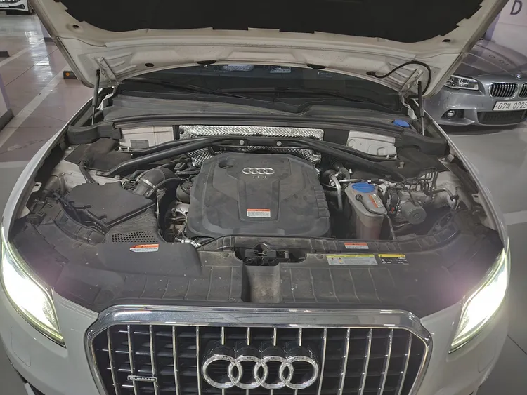 Audi Q5 (8R) 31