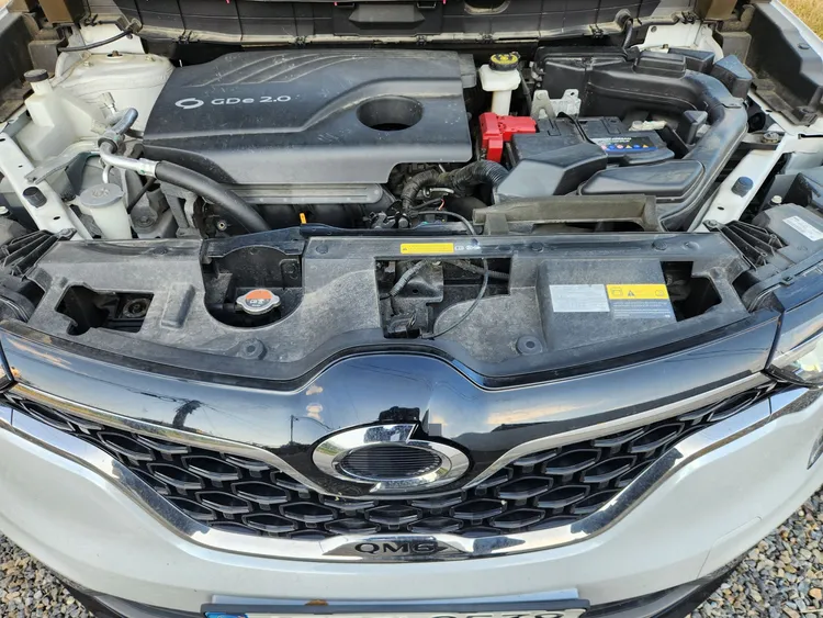 Renault Korea Koleos 30