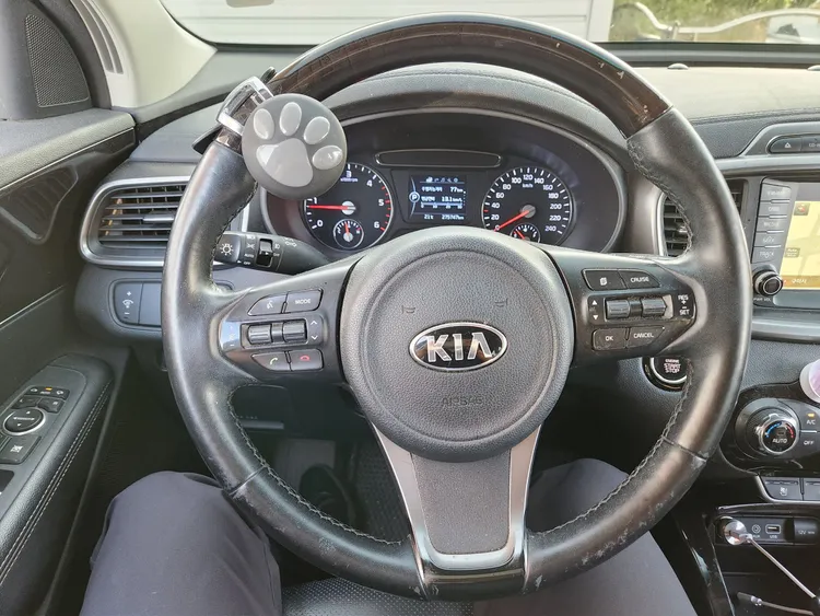 Kia Sorento 16