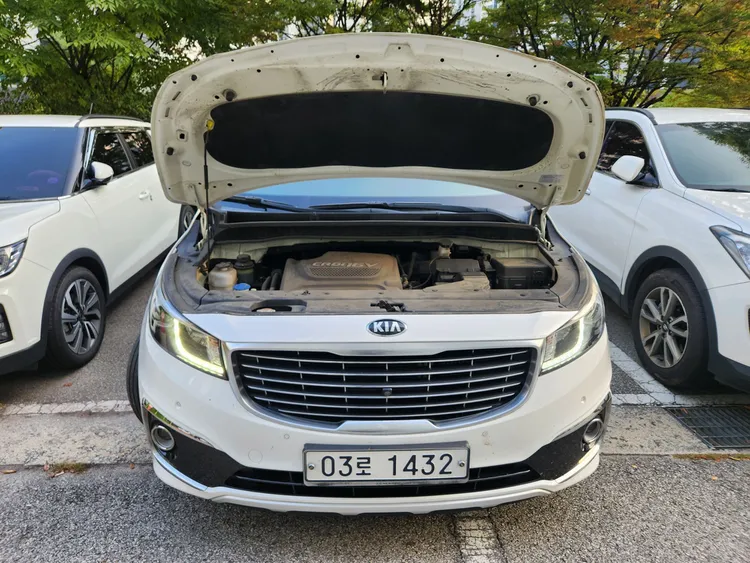 Kia Carnival 39