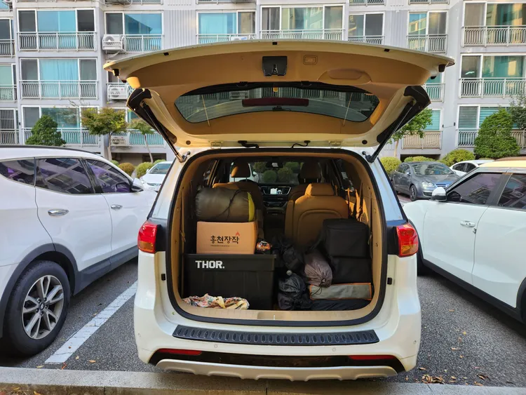 Kia Carnival 8