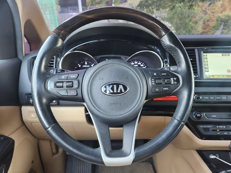 Kia Carnival 15