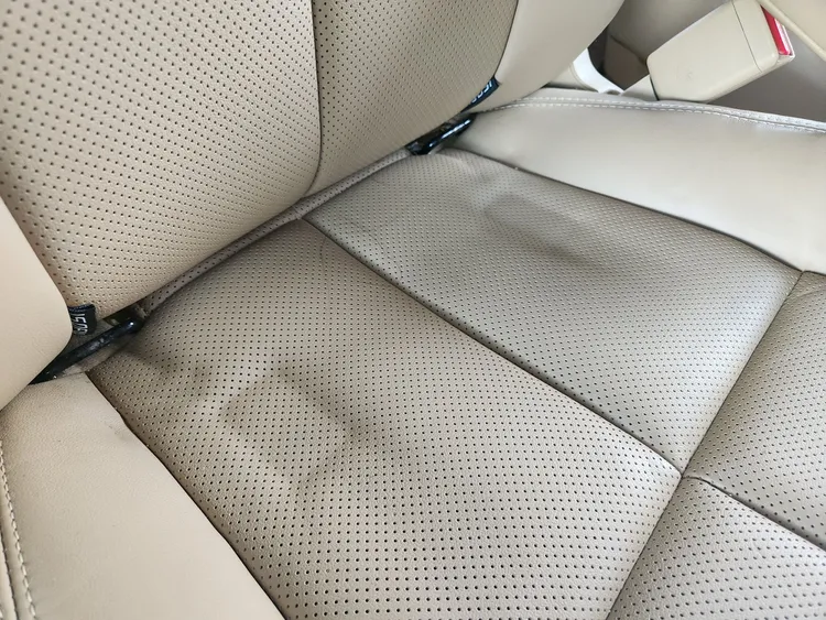 Kia Carnival 18