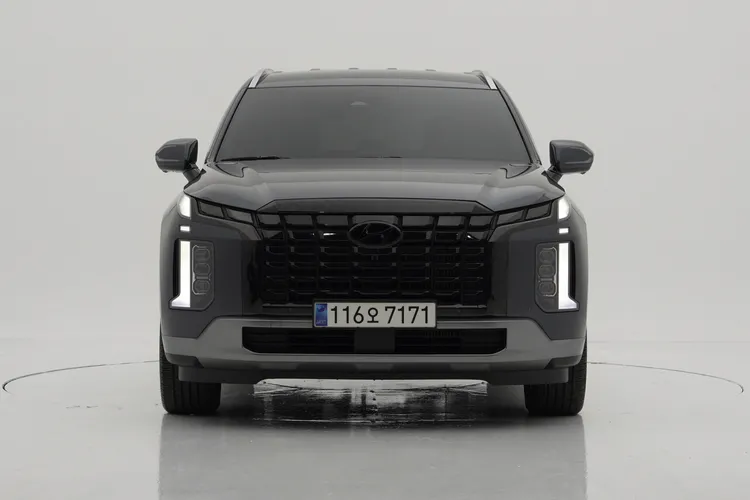 Hyundai Palisade D 1
